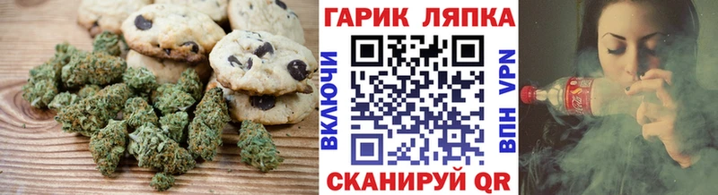 купить наркотики сайты  Владикавказ  Canna-Cookies марихуана 
