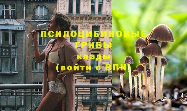 сатива Абдулино