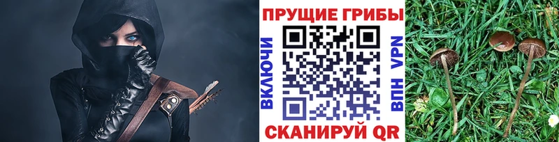 наркошоп  Владикавказ  Галлюциногенные грибы Psilocybine cubensis 